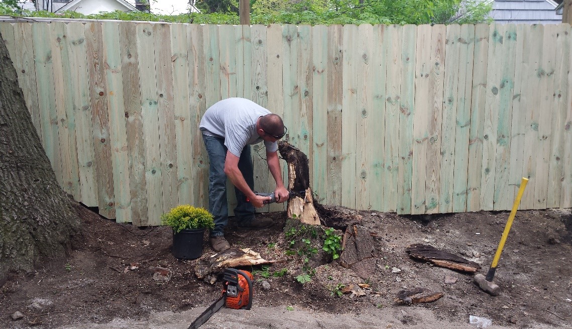 Man removing stump.