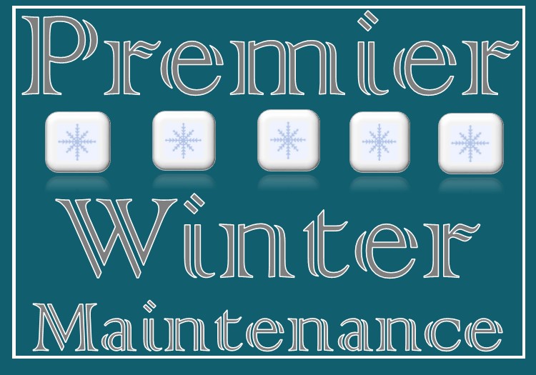 Winter Logo