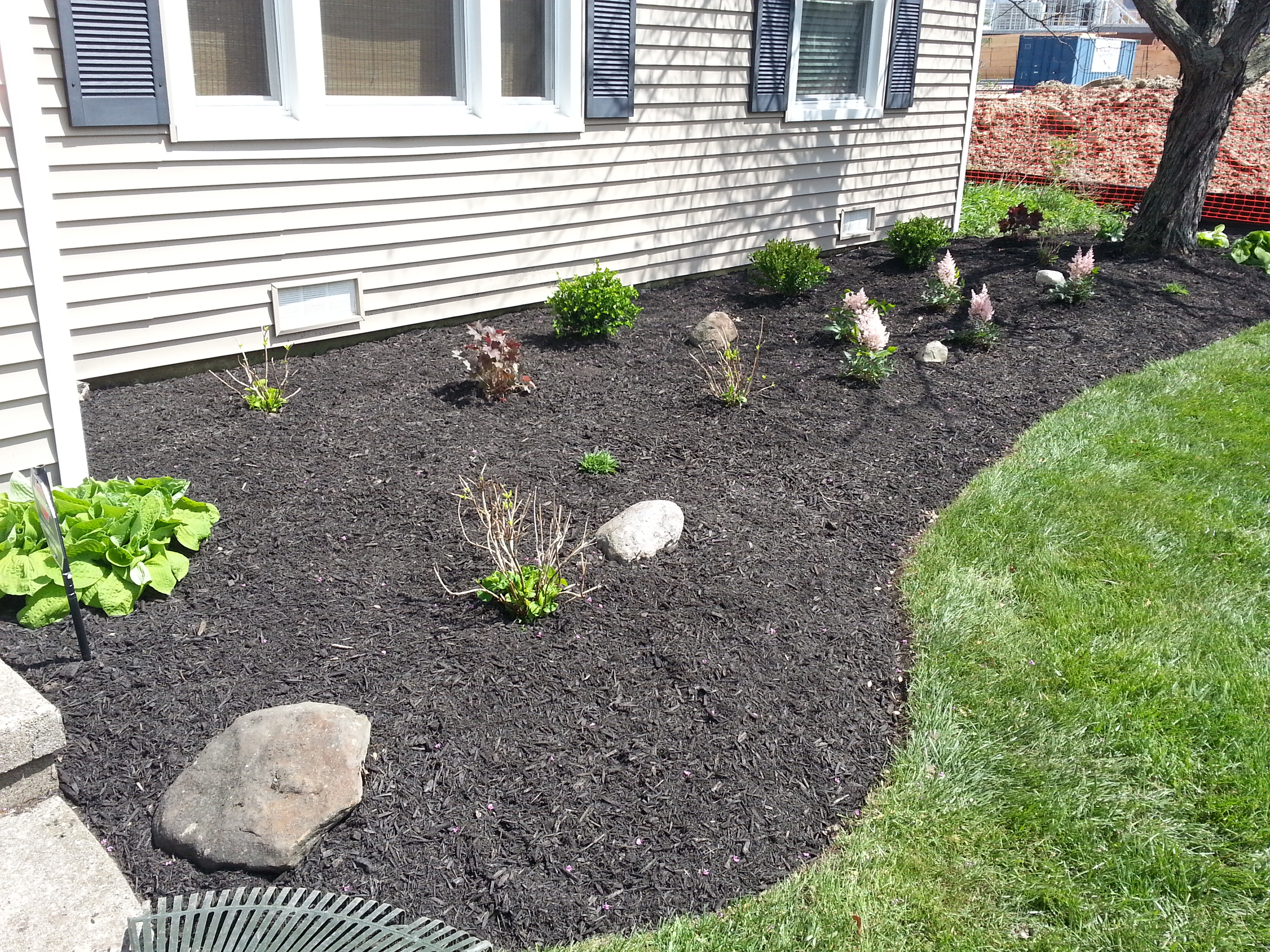 black mulch with plants