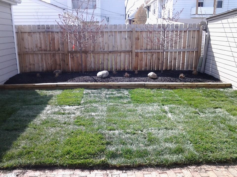 Fence w/ Sod