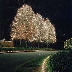 Premier Landscaping's Outdoor Lighting, trees.