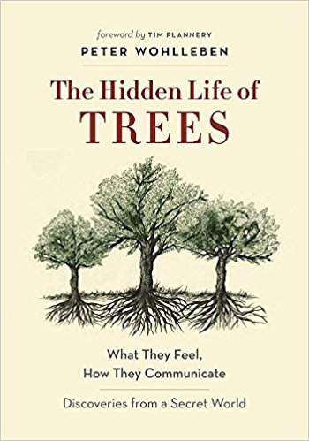 Book: The Hidden Life of Trees by Peter Wohlleben